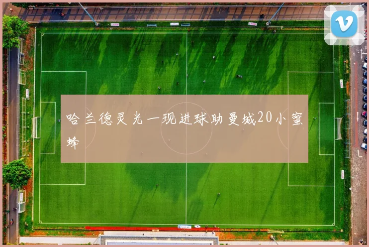 哈兰德灵光一现进球助曼城20小蜜蜂